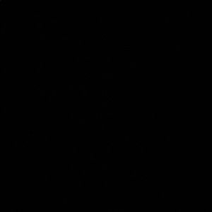 Meet your Posher, Charlene